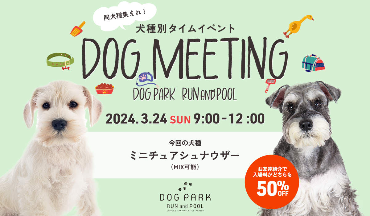 第十三弾】3月24日（日）犬種別DAY ミニチュアシュナウザー | [公式